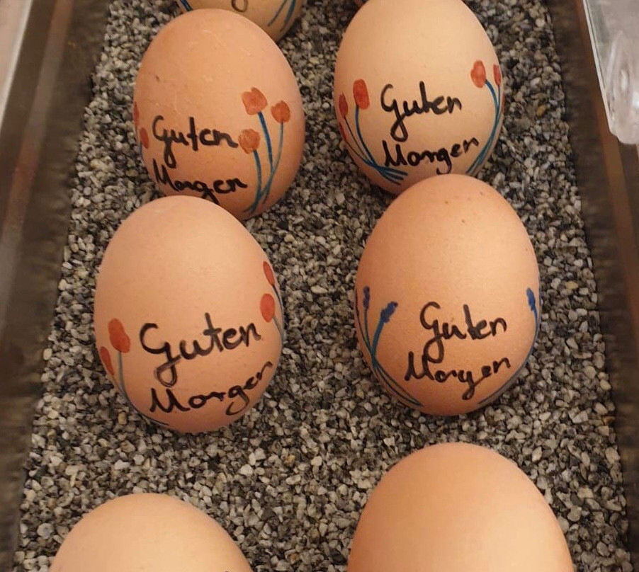 祖尔穆尔酒店主图