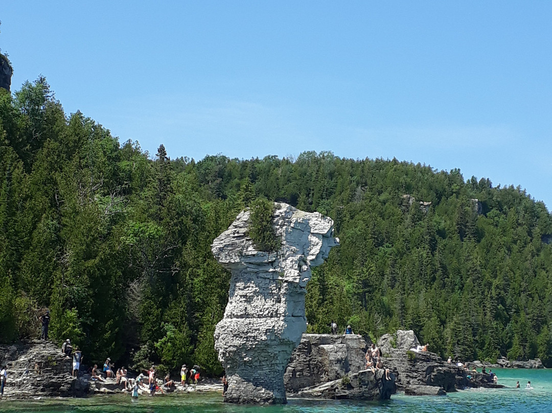 Flowerpot Island景点图片