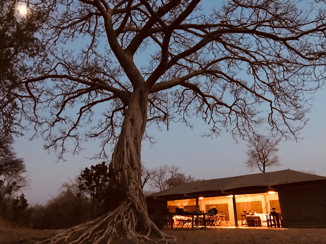 Ingwe Pan - Machaba Safaris