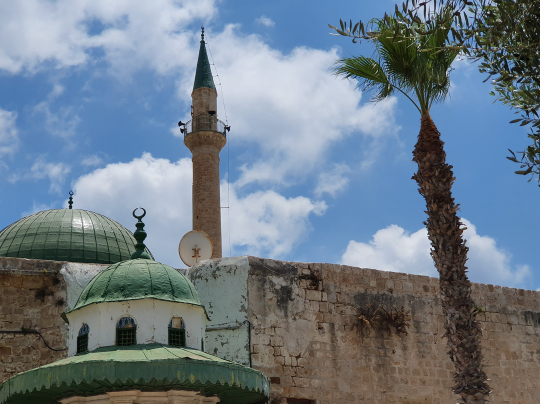 El-Jazzar Mosque景点图片
