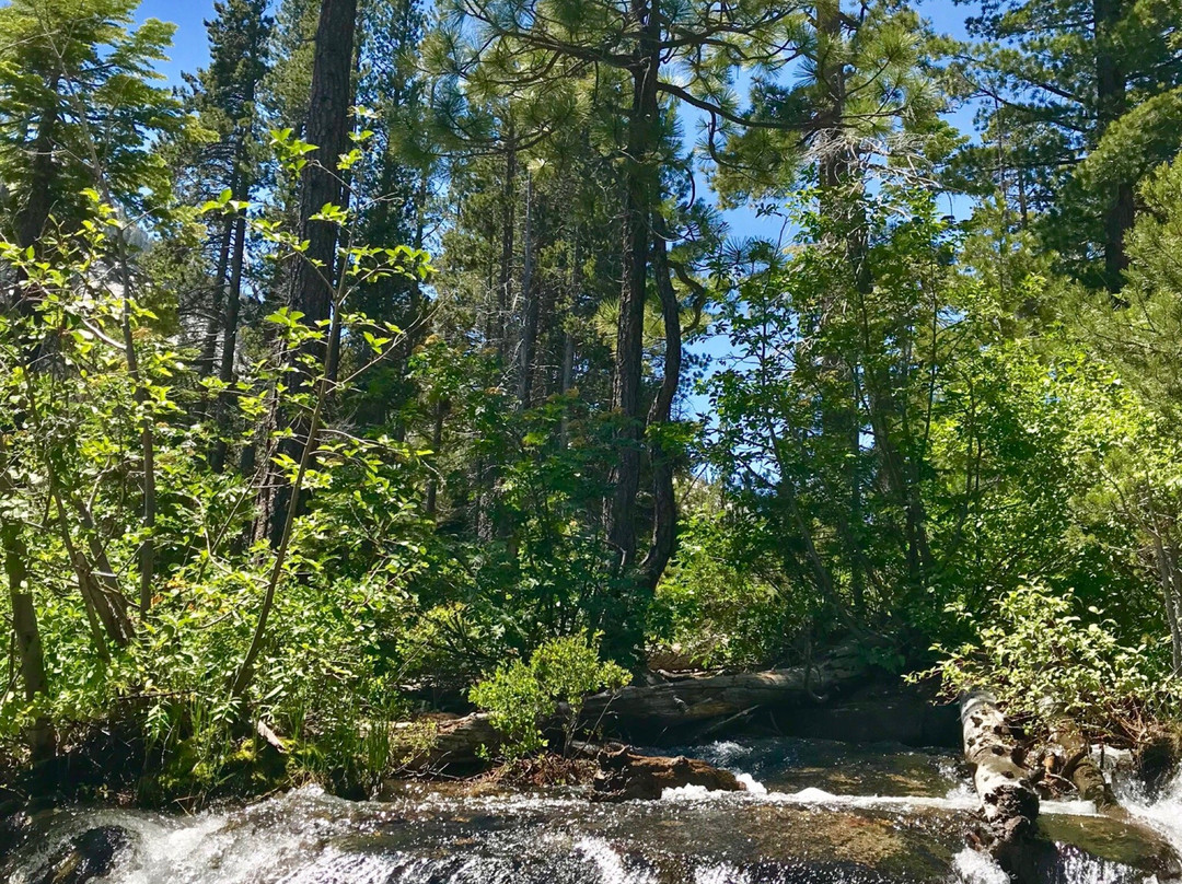 Cascade Falls Trail-太浩湖必去景点