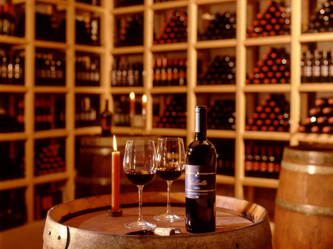 Azienda Agricola Conte Collalto-Susegana必去景点