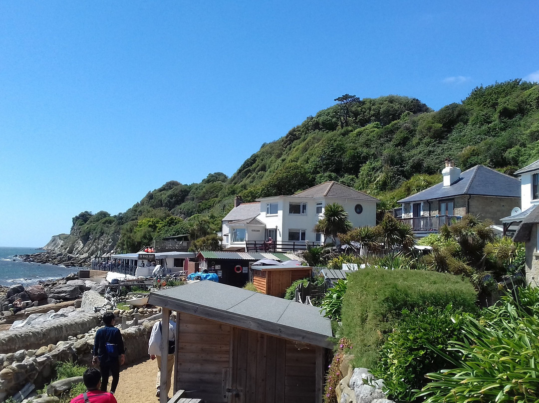 Steephill Cove Beach景点图片