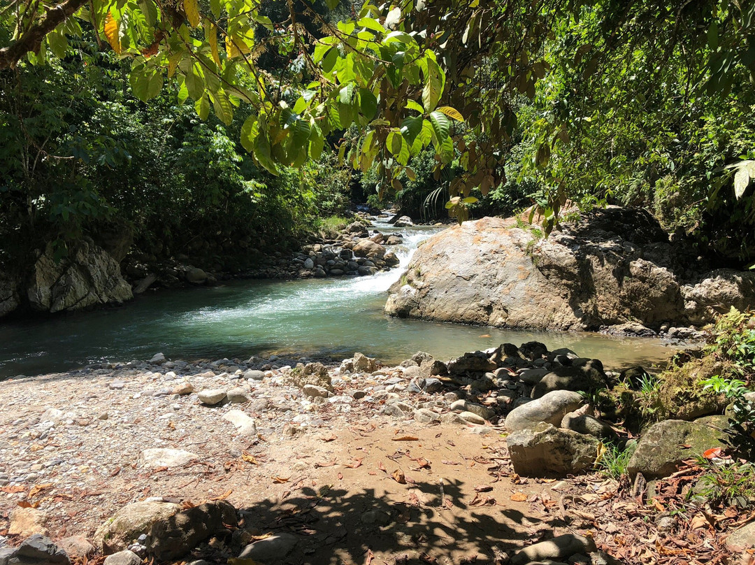 Jungle Tour With Salman-Ketambe必去景点