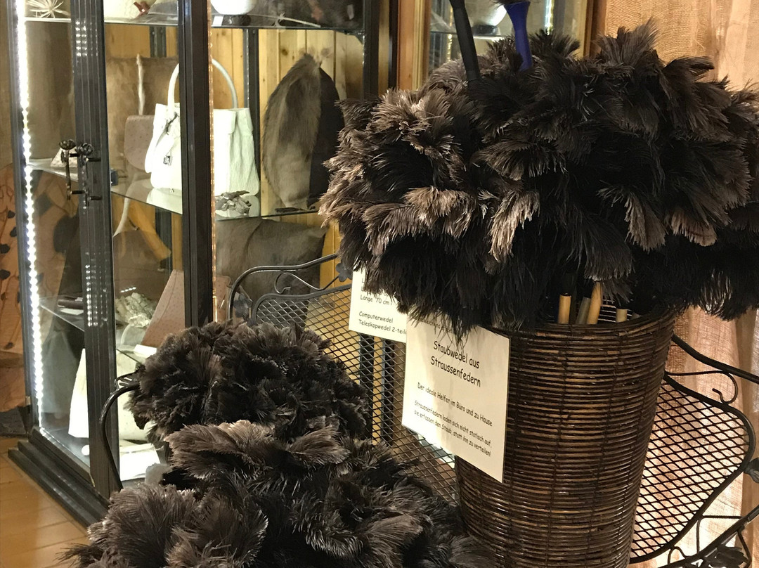 Straussenfarm Mhou-Rulzheim必去景点