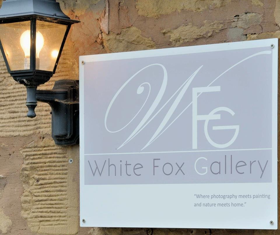 White Fox Gallery景点图片