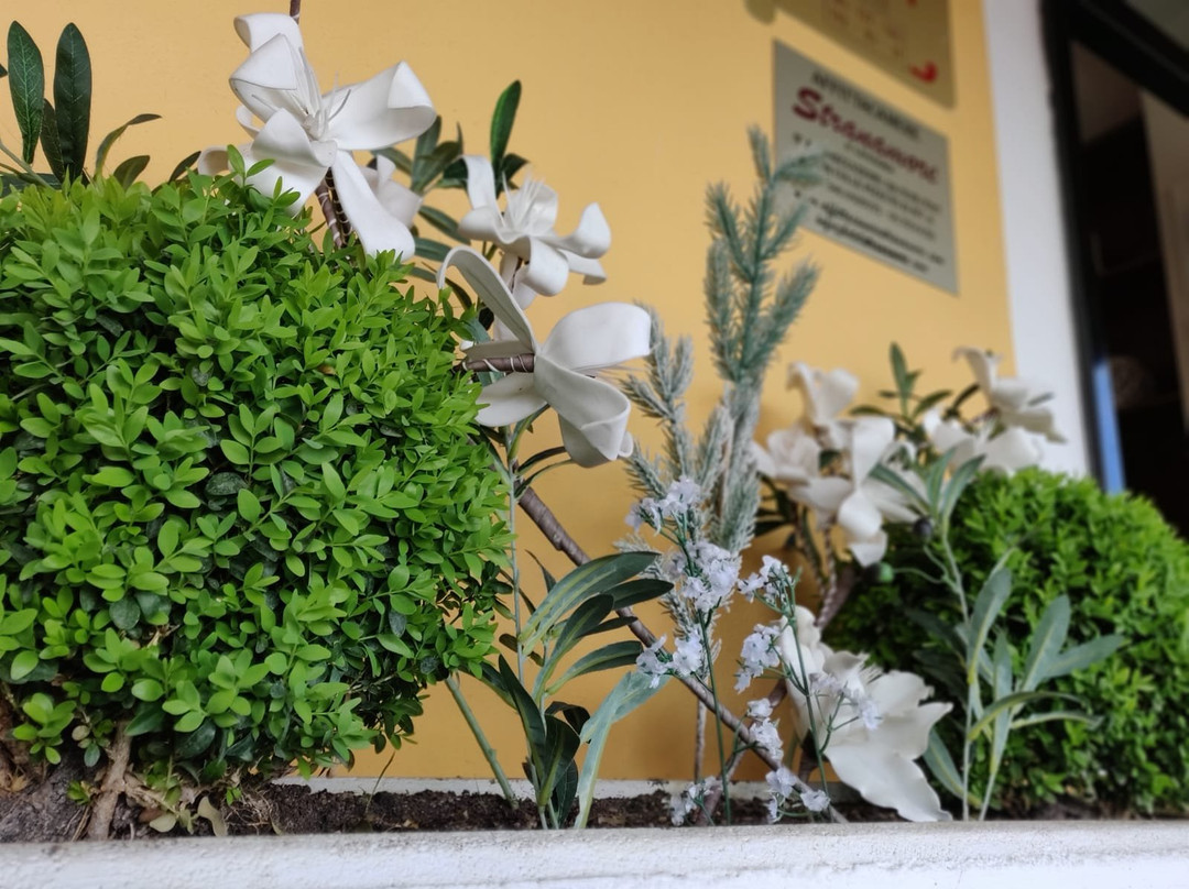 Affittacamere Stranamore主图