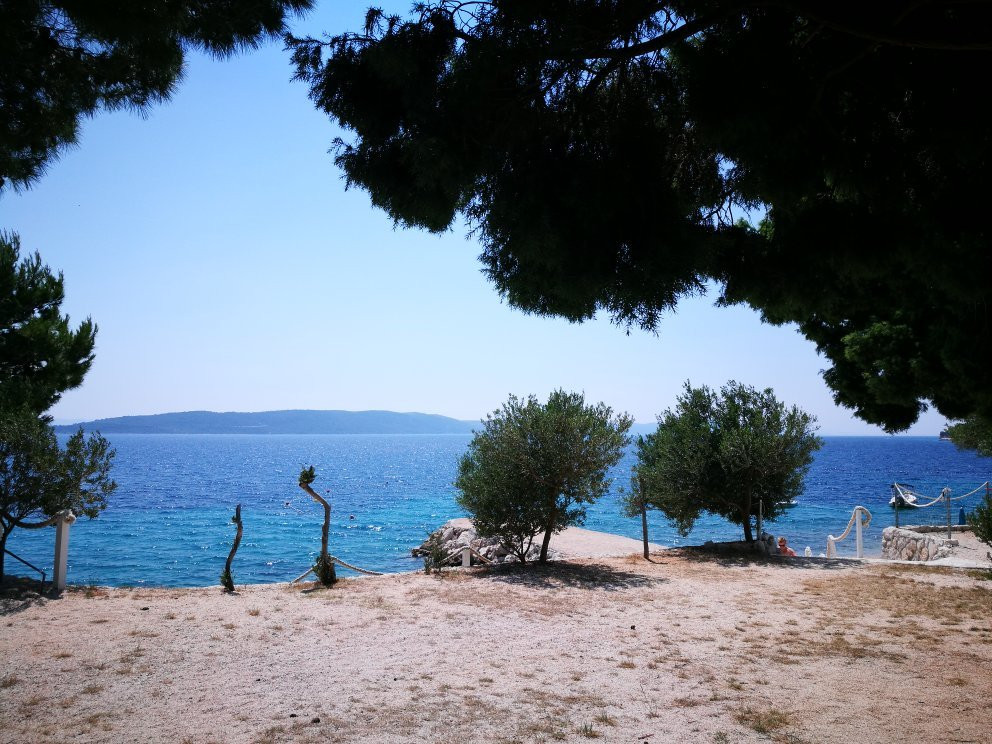 Camp Male Ciste