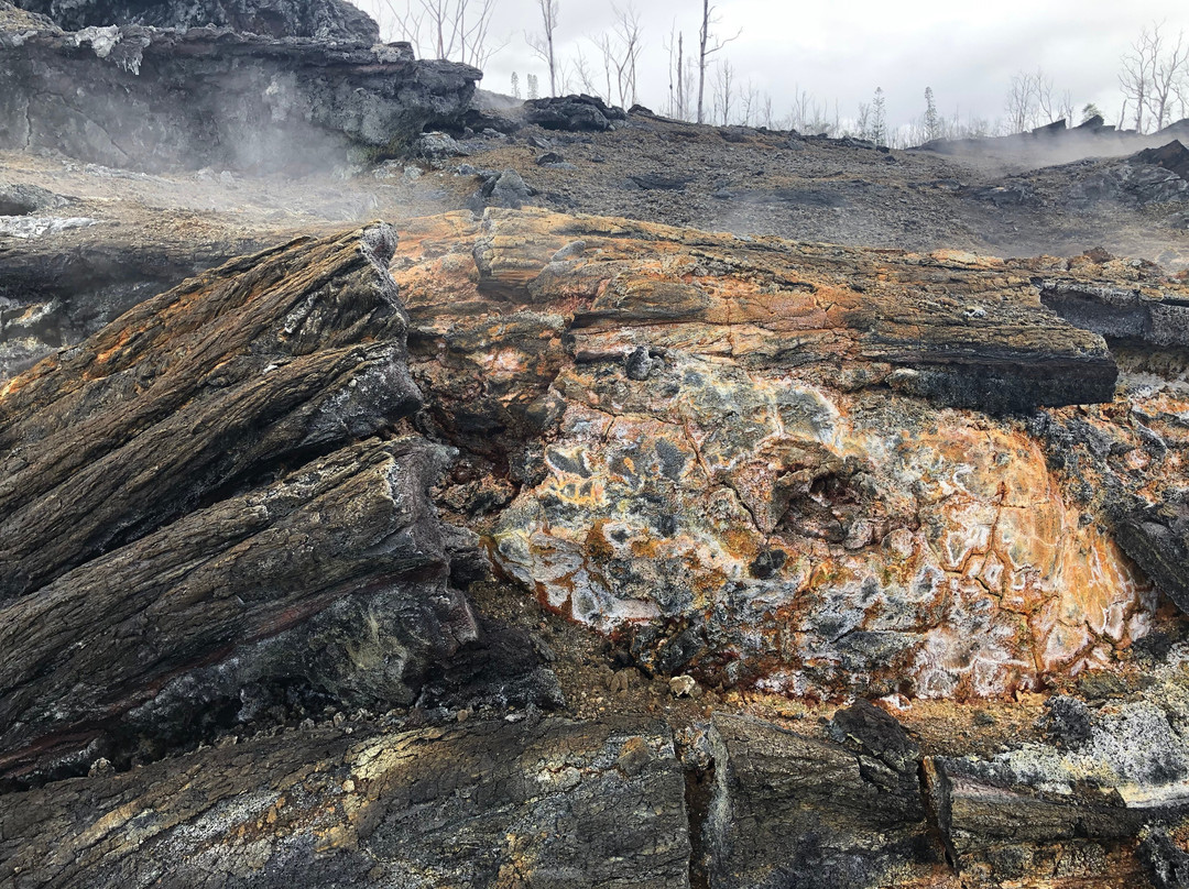 Aloha Lava Tours-Kalapana必去景点