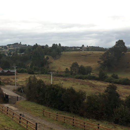 Hostal Boutique Los Arrayanes主图