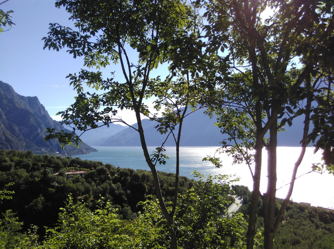 Bed & Breakfast Preone主图