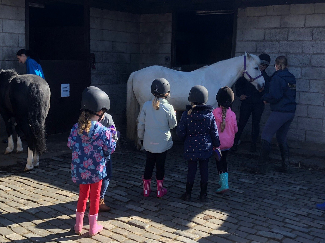Murton Equestrian Centre-纽卡斯尔必去景点