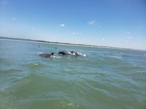 Island Water Adventures-Little River必去景点
