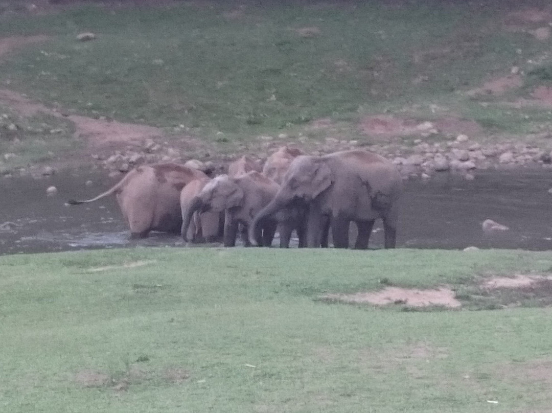 Elephant View Point景点图片