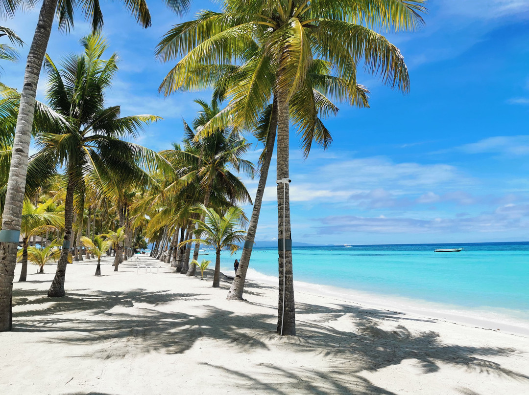 薄荷海滩俱乐部酒店主图