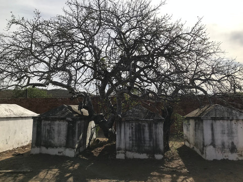 Panteon Ingles-El Triunfo必去景点