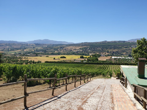 Humble Earth Tours-隆达必去景点