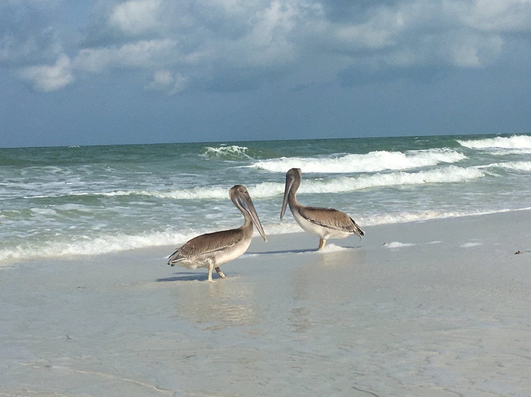 Redington Shores Beach Access景点图片