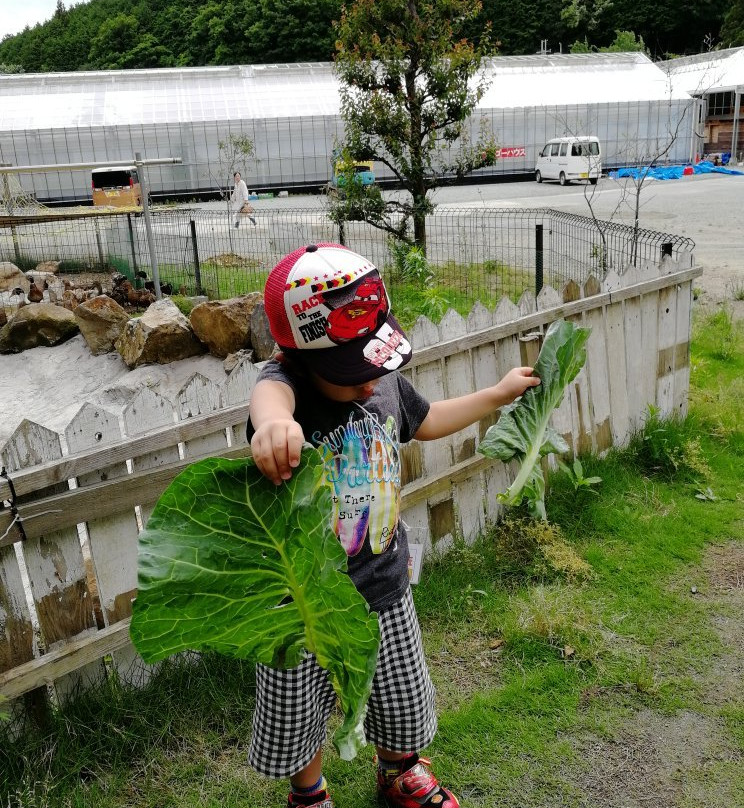 Very Belly Farm Nishiwaki-西胁市必去景点
