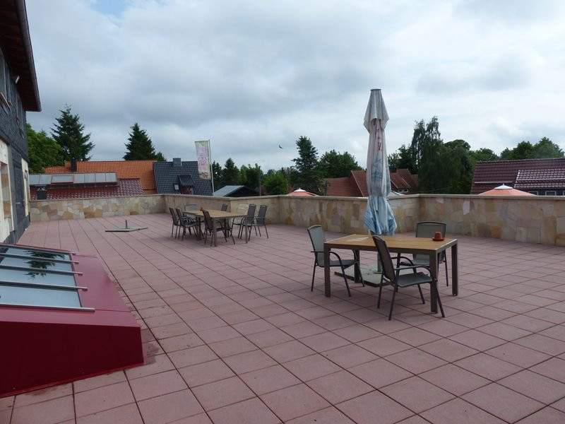 Brauner Hirsch主图