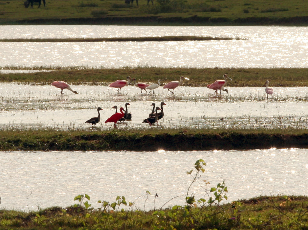 Bom Jesus Farm-Soure必去景点