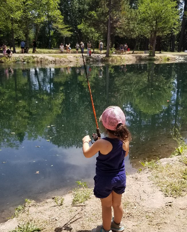 Mount Shasta Fish Hatchery景点图片