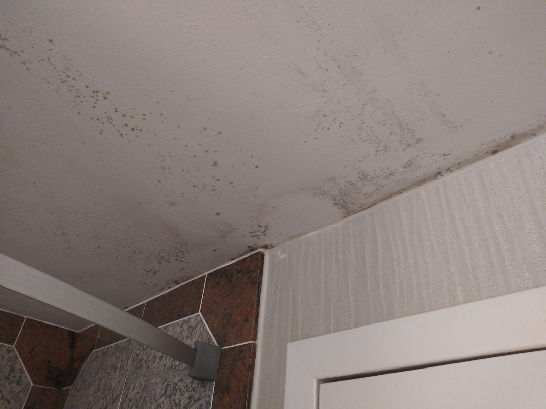 Days Inn by Wyndham Lanham Washington D.C主图