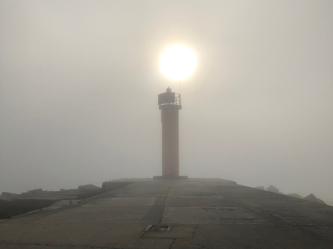 Pier in Mangalsala景点图片