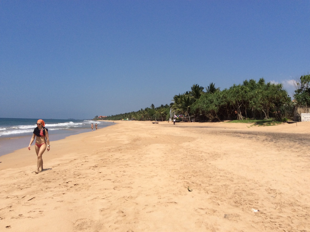 Whispering Palms Hotel主图