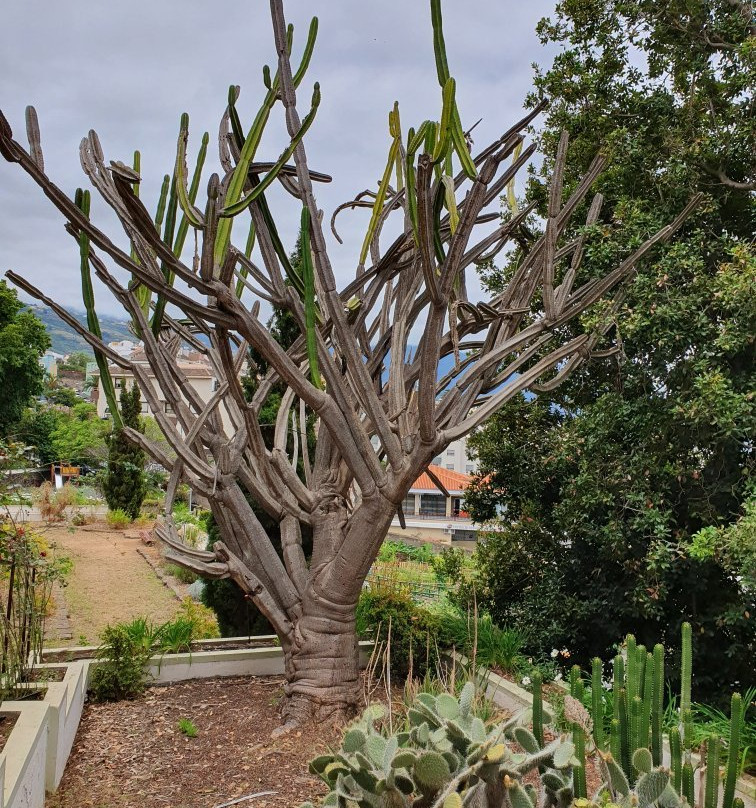 Parque Cultural Dona Chana景点图片