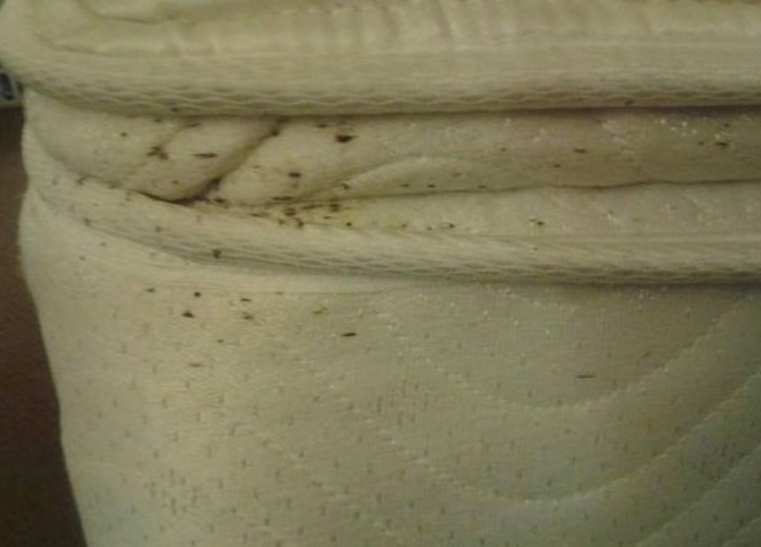 Baymont by Wyndham Grand Junction主图