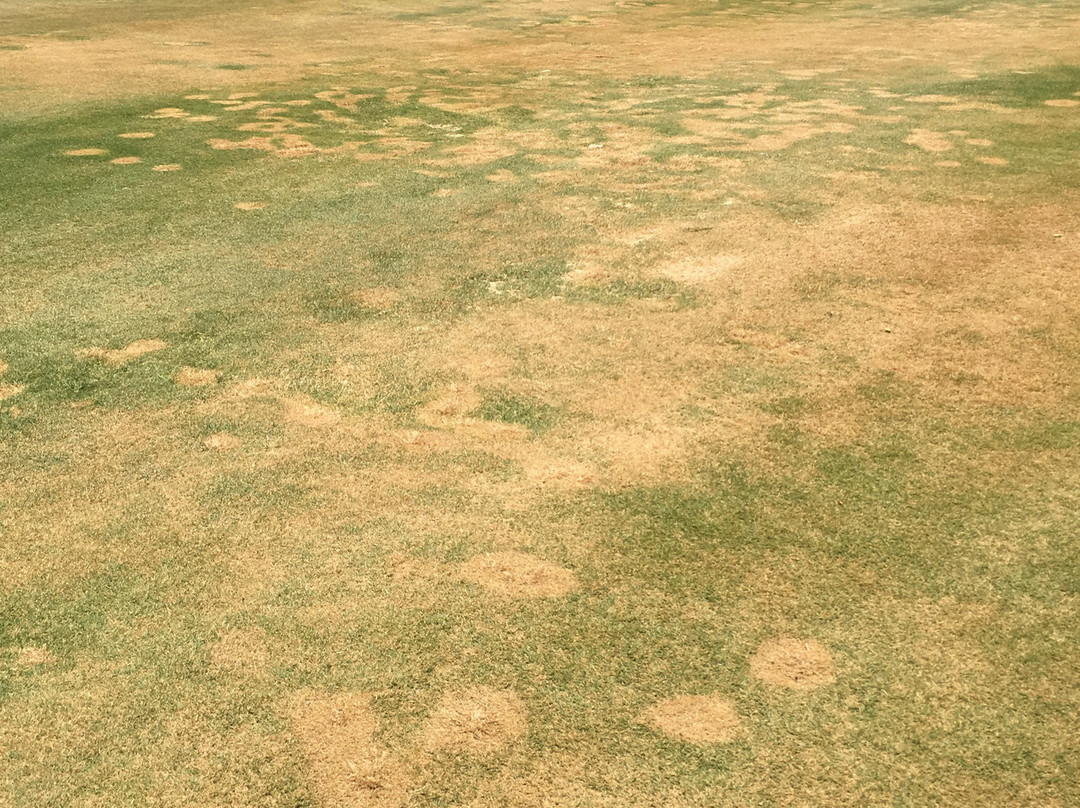 Cabo San Lucas Country Club-卡波圣卢卡斯必去景点