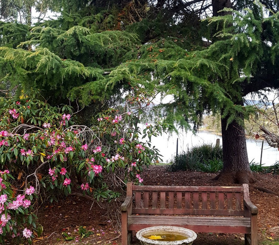 杜纳拉床和早餐主图