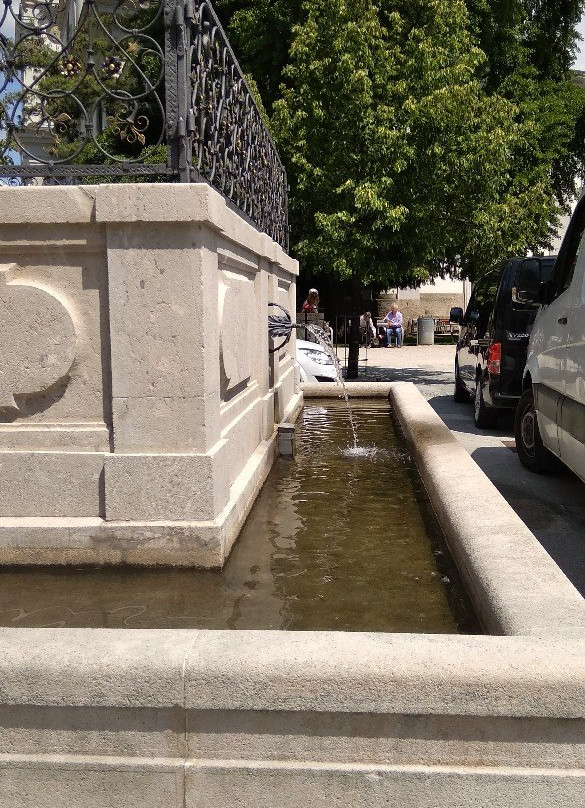 Wilder-Mann-Brunnen-萨尔茨堡必去景点