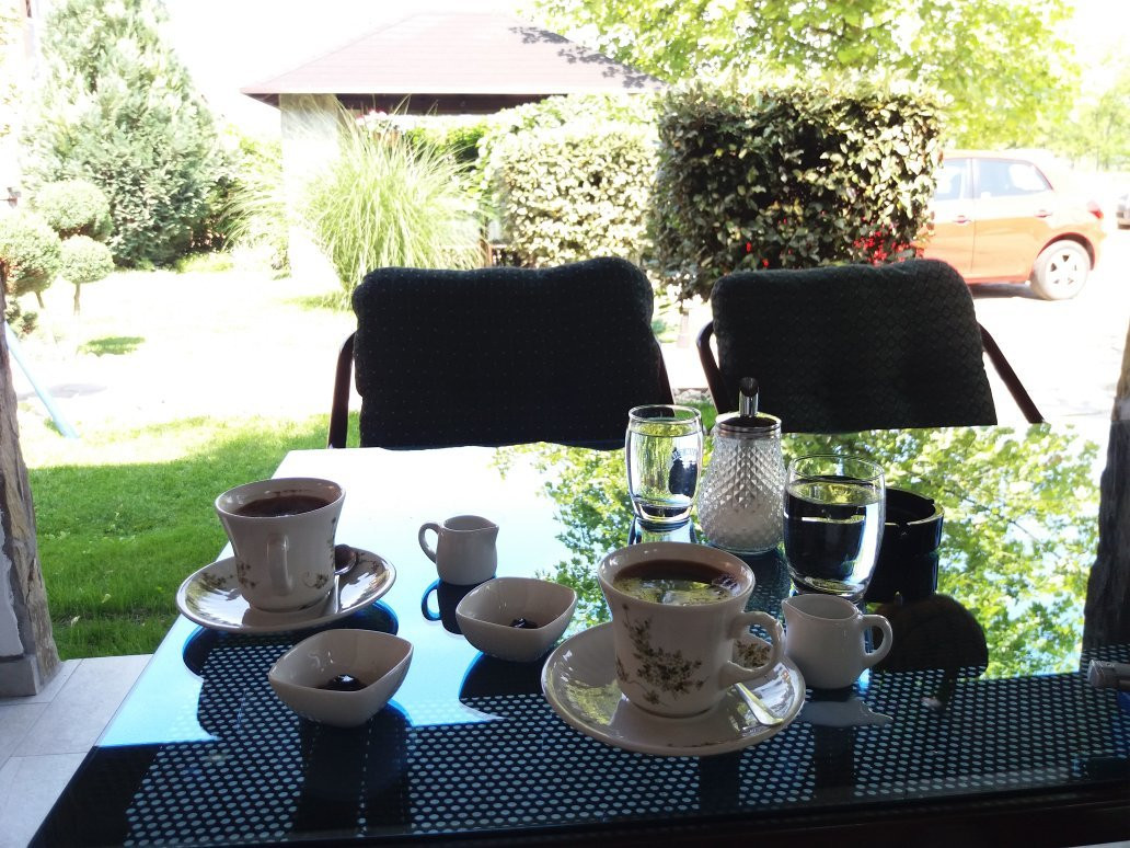 Vila & SPA Stević主图