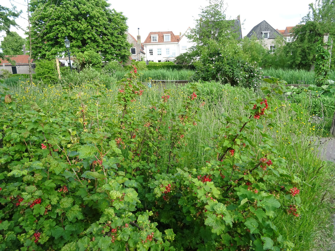 Heemtuin de Meulenwerf景点图片