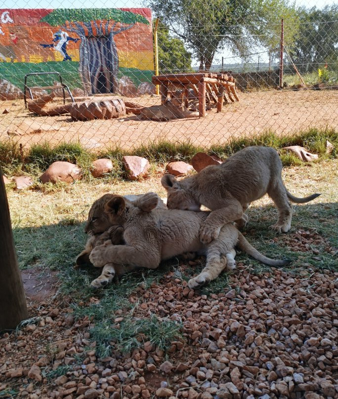 Rustenzicht Lodge and Wedding Venue主图