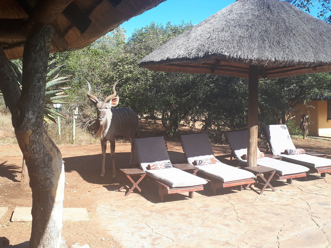 皇家克鲁格旅舍主图