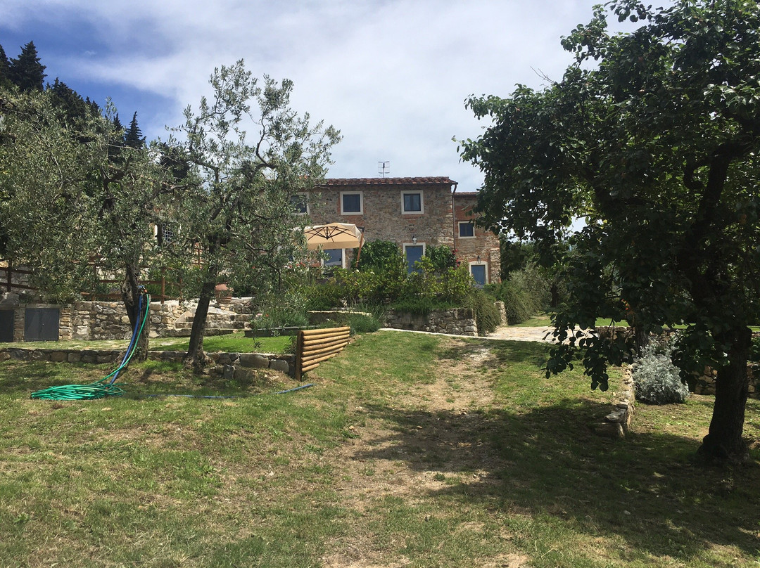 Podere La Contessa B&B主图