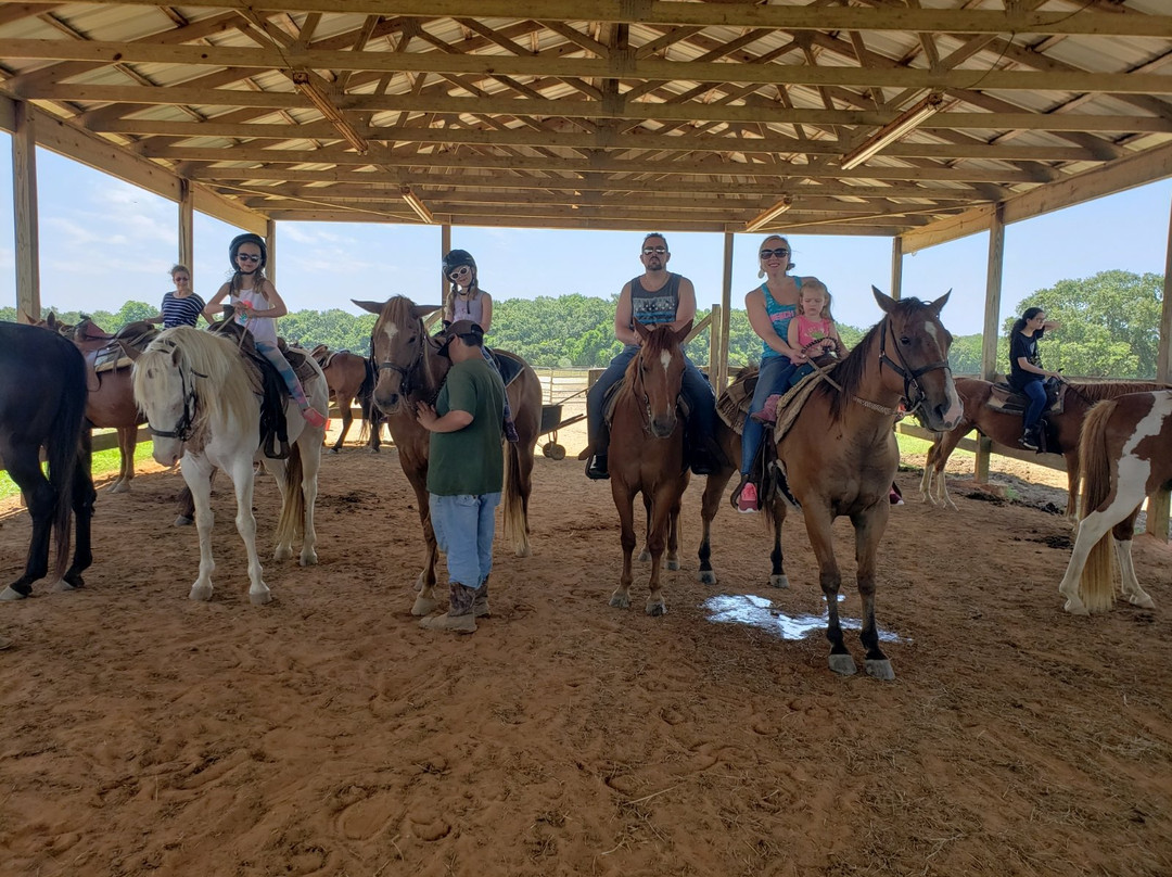 Oak Hollow Farm-费尔霍普必去景点