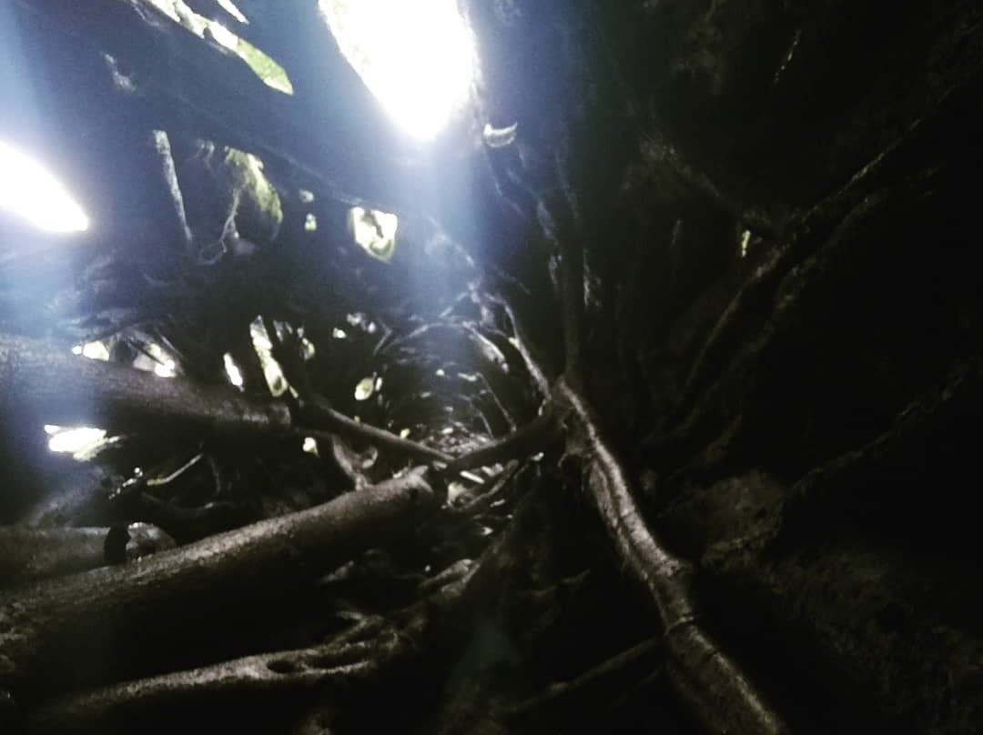 Aguti Monteverde - Wildlife Reserve-圣埃伦娜必去景点