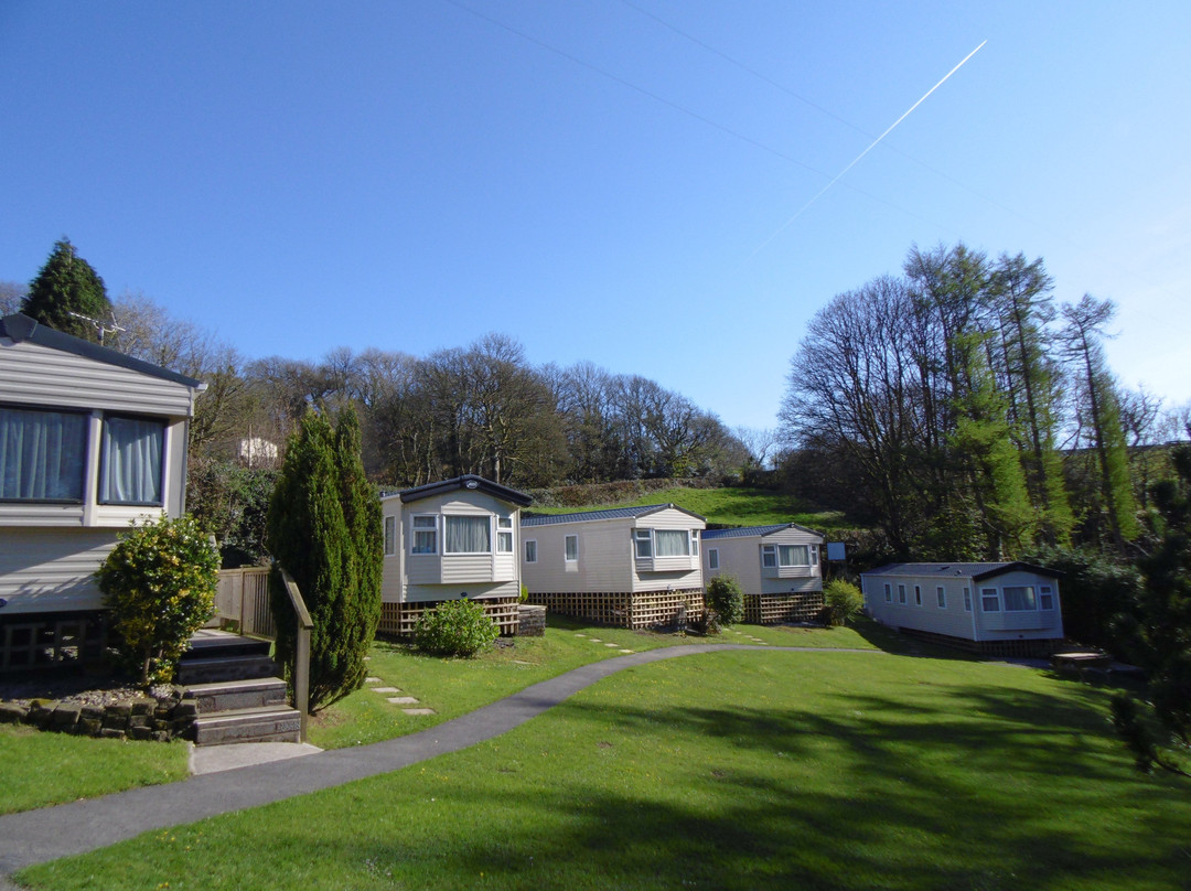 Trees Caravan Park
