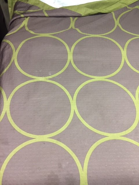 Super 8 by Wyndham Hebron Lowell Area主图