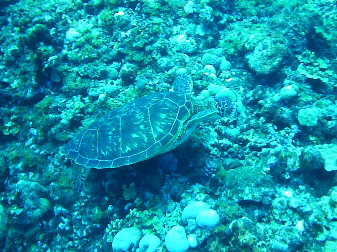 Lau Lau Beach-塞班岛必去景点