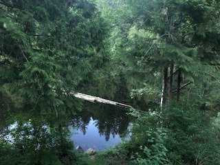 Ruby Lake Resort主图