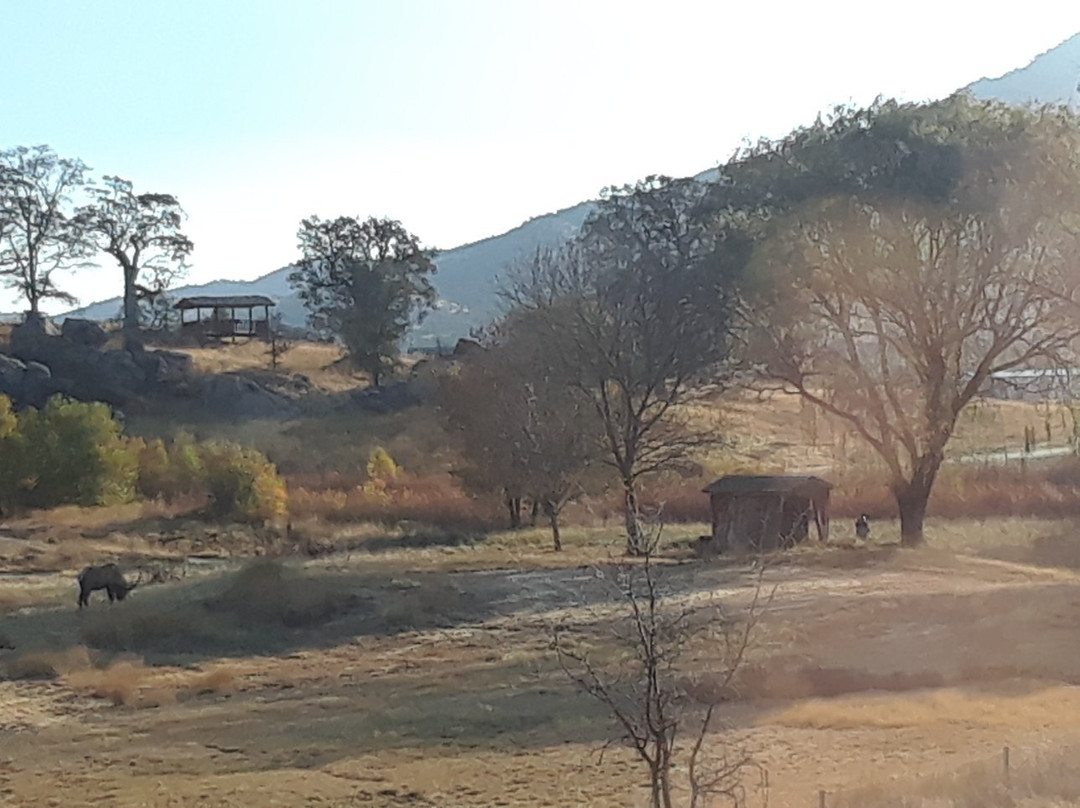 Stallion Springs Resort主图