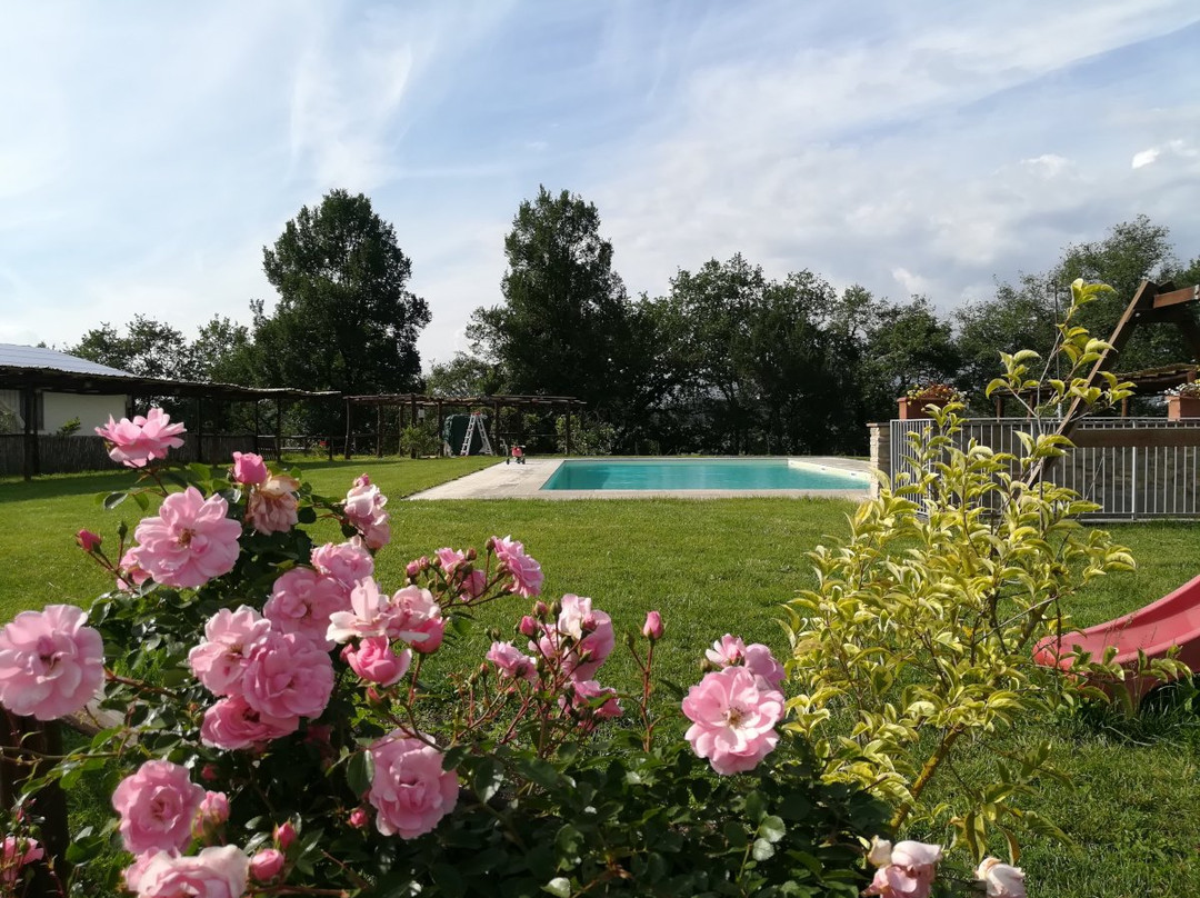 Pergine Valdarno旅游攻略图片