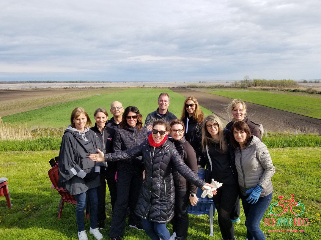 Red Apple Rides-多佛港必去景点