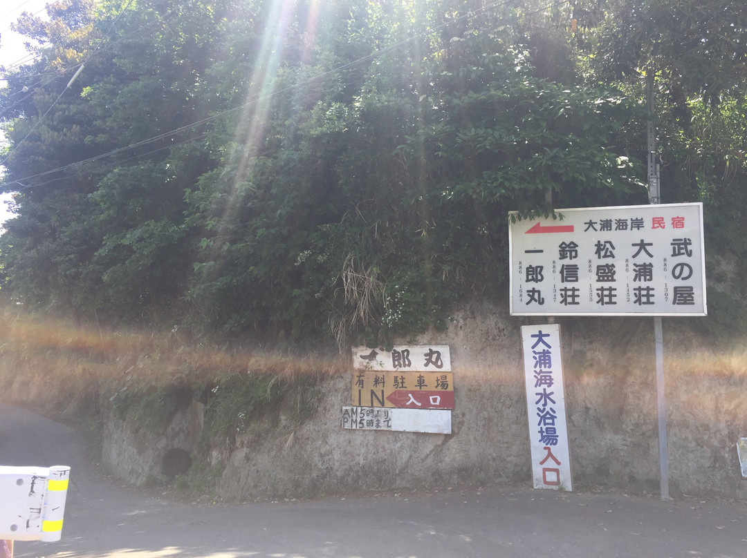 Makuchi Port-三浦市必去景点