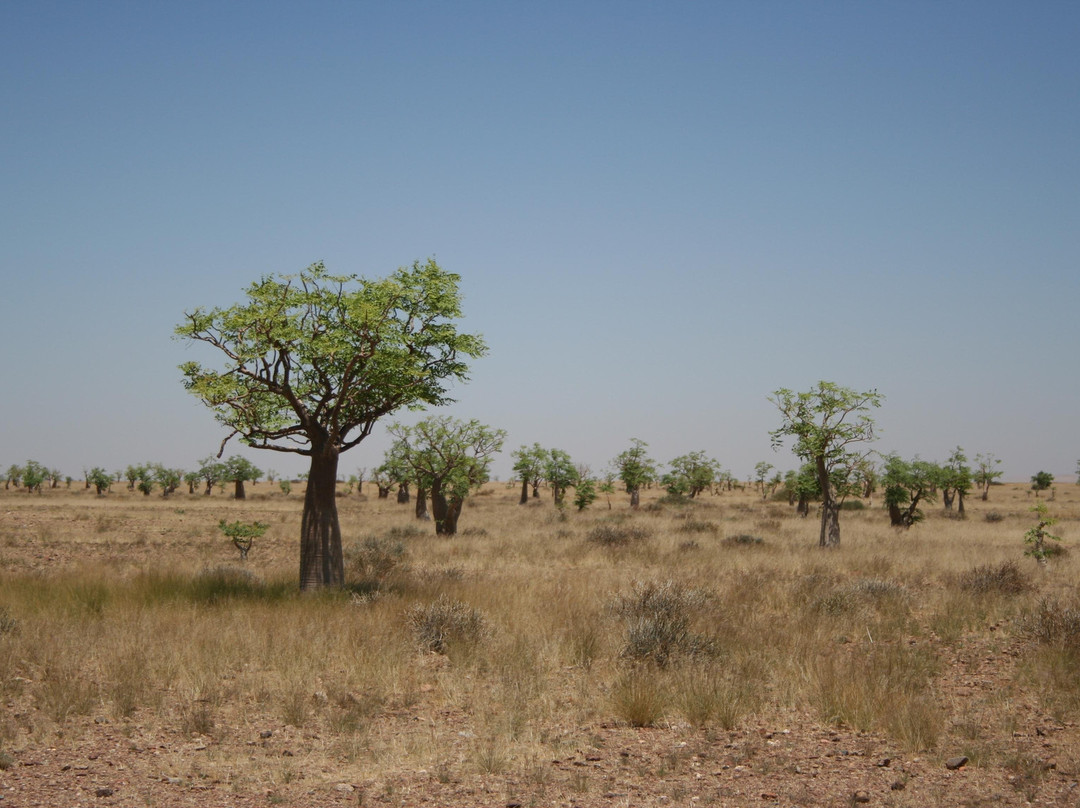 African Extravaganza-苏丝斯黎必去景点